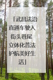 武昌法治直通车驶入街头巷尾 立体化普法护航美好生活