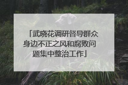 武晓花调研督导群众身边不正之风和腐败问题集中整治工作