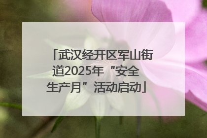 武汉经开区军山街道2025年“安全生产月”活动启动