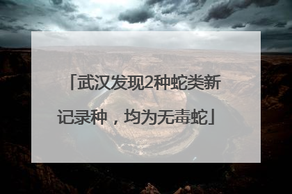 武汉发现2种蛇类新记录种，均为无毒蛇