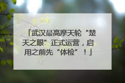武汉最高摩天轮“楚天之眼”正式运营，启用之前先“体检”！