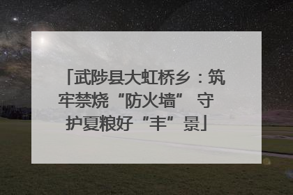 武陟县大虹桥乡：筑牢禁烧“防火墙” 守护夏粮好“丰”景