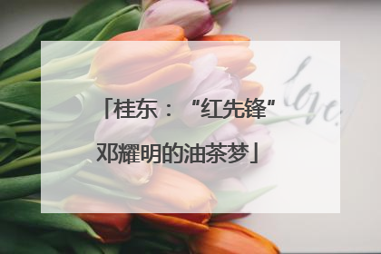 桂东：“红先锋”邓耀明的油茶梦