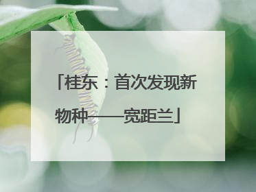 桂东：首次发现新物种——宽距兰
