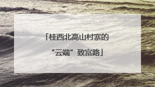 桂西北高山村寨的“云端”致富路