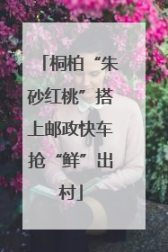 桐柏“朱砂红桃”搭上邮政快车抢“鲜”出村
