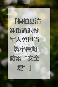 桐柏县清淮街道退役军人勇担当 筑牢暑期防溺“安全堤”