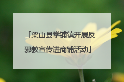 梁山县拳铺镇开展反邪教宣传进商铺活动