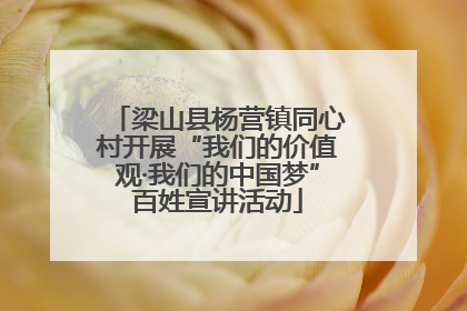 梁山县杨营镇同心村开展“我们的价值观·我们的中国梦”百姓宣讲活动