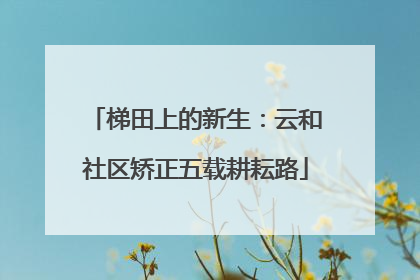梯田上的新生：云和社区矫正五载耕耘路