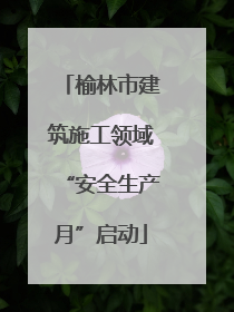 榆林市建筑施工领域“安全生产月”启动
