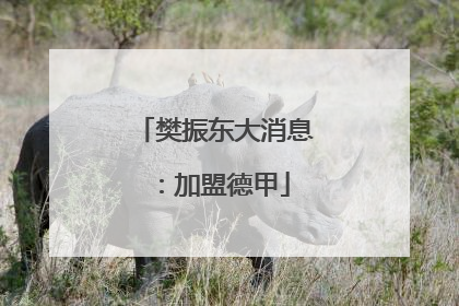 樊振东大消息：加盟德甲