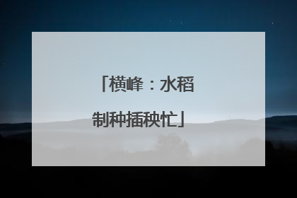横峰：水稻制种插秧忙