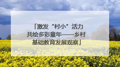 激发“村小”活力 共绘多彩童年——乡村基础教育发展观察
