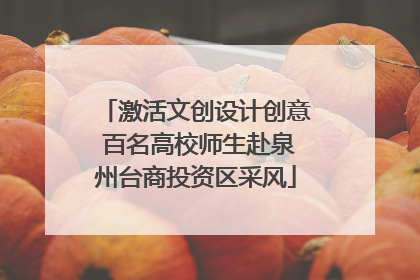 激活文创设计创意 百名高校师生赴泉州台商投资区采风