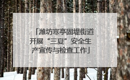 潍坊寒亭固堤街道开展“三夏”安全生产宣传与检查工作