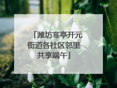 潍坊寒亭开元街道各社区邻里共享端午