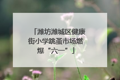 潍坊潍城区健康街小学跳蚤市场燃爆“六一”