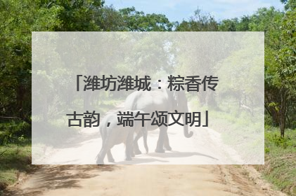 潍坊潍城：粽香传古韵，端午颂文明