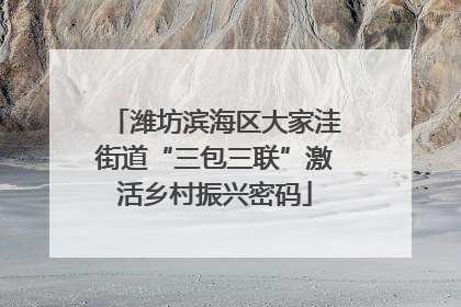 潍坊滨海区大家洼街道“三包三联”激活乡村振兴密码