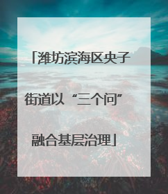 潍坊滨海区央子街道以“三个问”融合基层治理