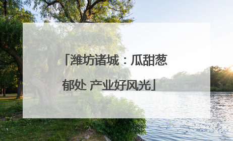 潍坊诸城：瓜甜葱郁处 产业好风光