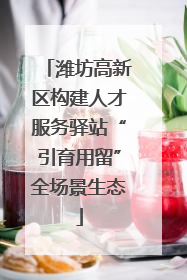 潍坊高新区构建人才服务驿站“引育用留”全场景生态
