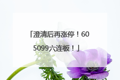 澄清后再涨停！605099六连板！