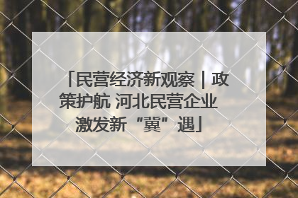 民营经济新观察｜政策护航 河北民营企业激发新“冀”遇