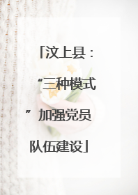 汶上县：“三种模式”加强党员队伍建设