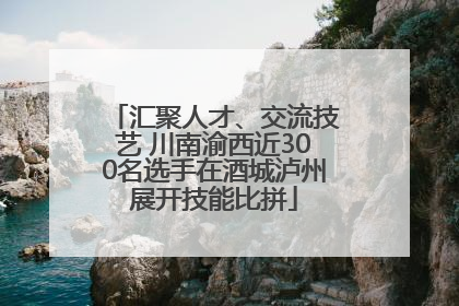 汇聚人才、交流技艺 川南渝西近300名选手在酒城泸州展开技能比拼