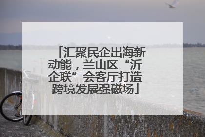 汇聚民企出海新动能，兰山区“沂企联”会客厅打造跨境发展强磁场