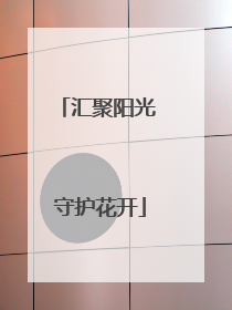 汇聚阳光 守护花开