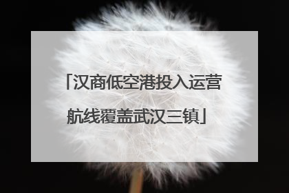 汉商低空港投入运营 航线覆盖武汉三镇