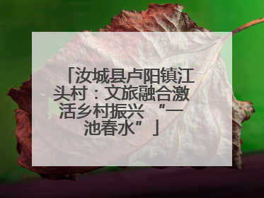 汝城县卢阳镇江头村：文旅融合激活乡村振兴 “一池春水”
