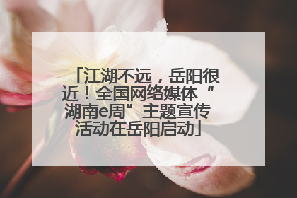 江湖不远，岳阳很近！全国网络媒体“湖南e周”主题宣传活动在岳阳启动