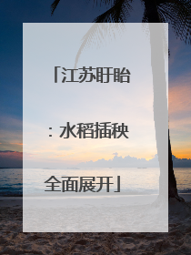 江苏盱眙：水稻插秧全面展开