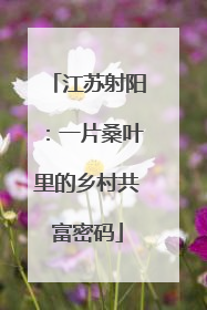 江苏射阳：一片桑叶里的乡村共富密码