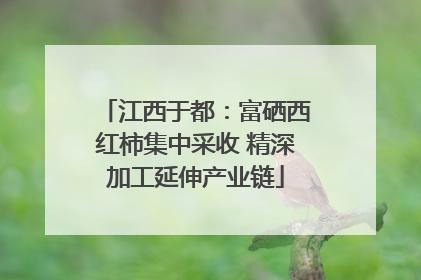 江西于都：富硒西红柿集中采收 精深加工延伸产业链