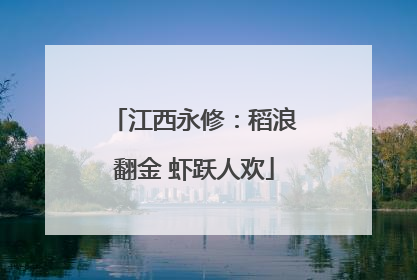 江西永修：稻浪翻金 虾跃人欢
