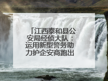 江西泰和县公安局经侦大队：运用新型警务助力护企安商跑出“加速度”