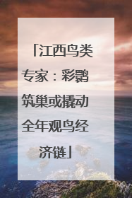 江西鸟类专家：彩鹮筑巢或撬动全年观鸟经济链