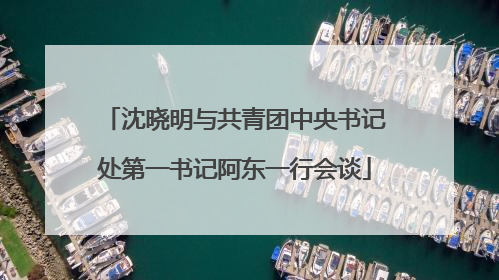 沈晓明与共青团中央书记处第一书记阿东一行会谈