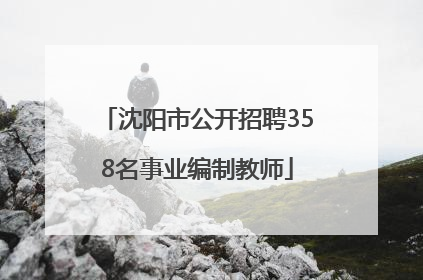 沈阳市公开招聘358名事业编制教师