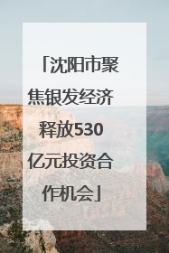 沈阳市聚焦银发经济释放530亿元投资合作机会