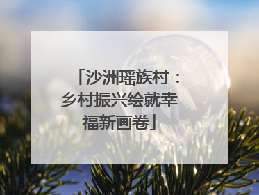 沙洲瑶族村：乡村振兴绘就幸福新画卷