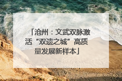 沧州：文武双脉激活“双遗之城”高质量发展新样本