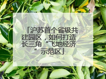 沪苏首个省级共建园区，如何打造长三角“飞地经济”示范区
