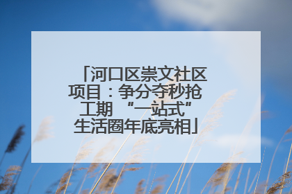 河口区崇文社区项目：争分夺秒抢工期 “一站式”生活圈年底亮相