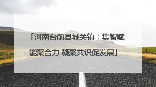 河南台前县城关镇：集智赋能聚合力 凝聚共识促发展
